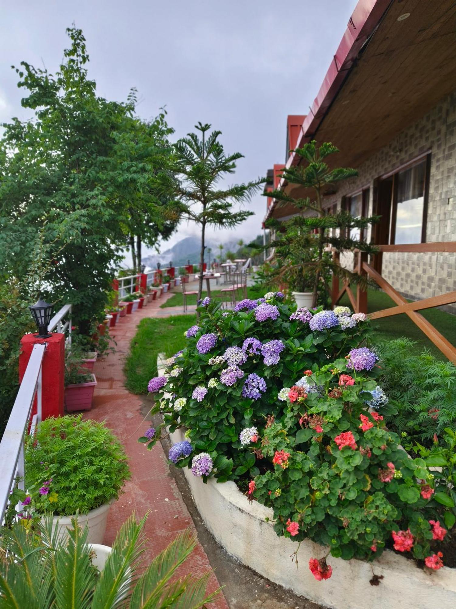 Naina Bird Cottage ناينيتال المظهر الخارجي الصورة