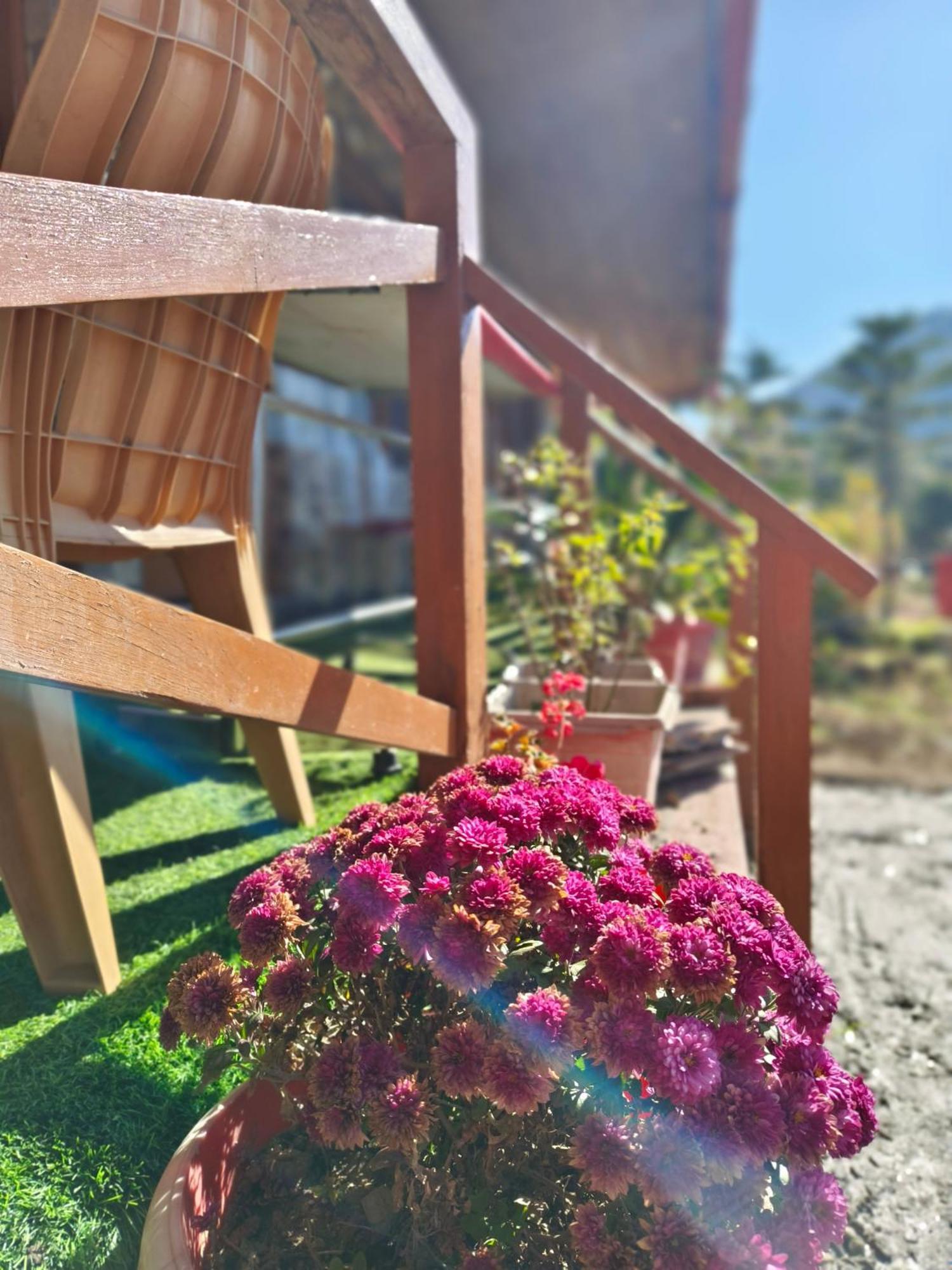 Naina Bird Cottage ناينيتال المظهر الخارجي الصورة